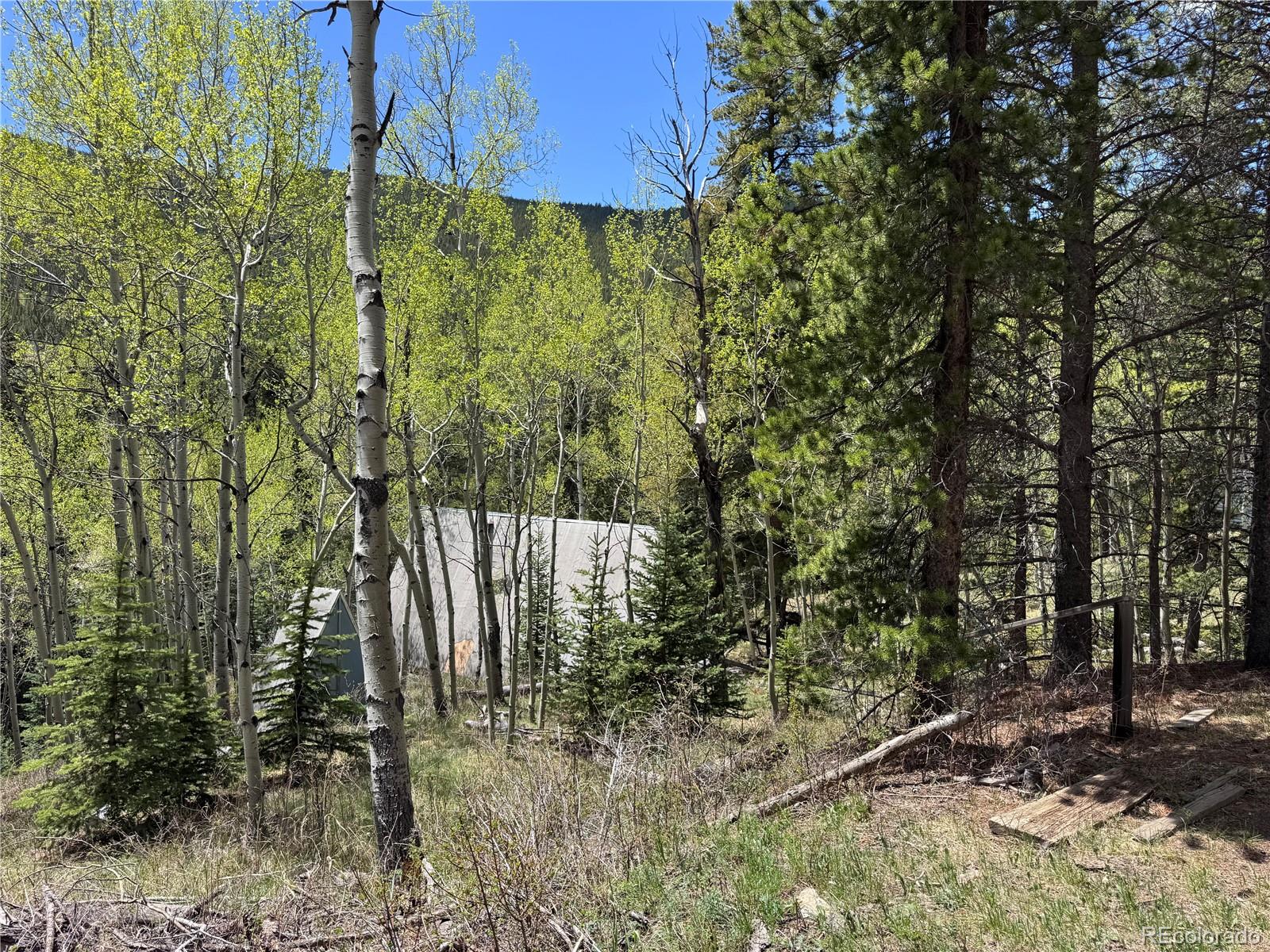 190 Blue Bell Lane Idaho Springs CO 80452