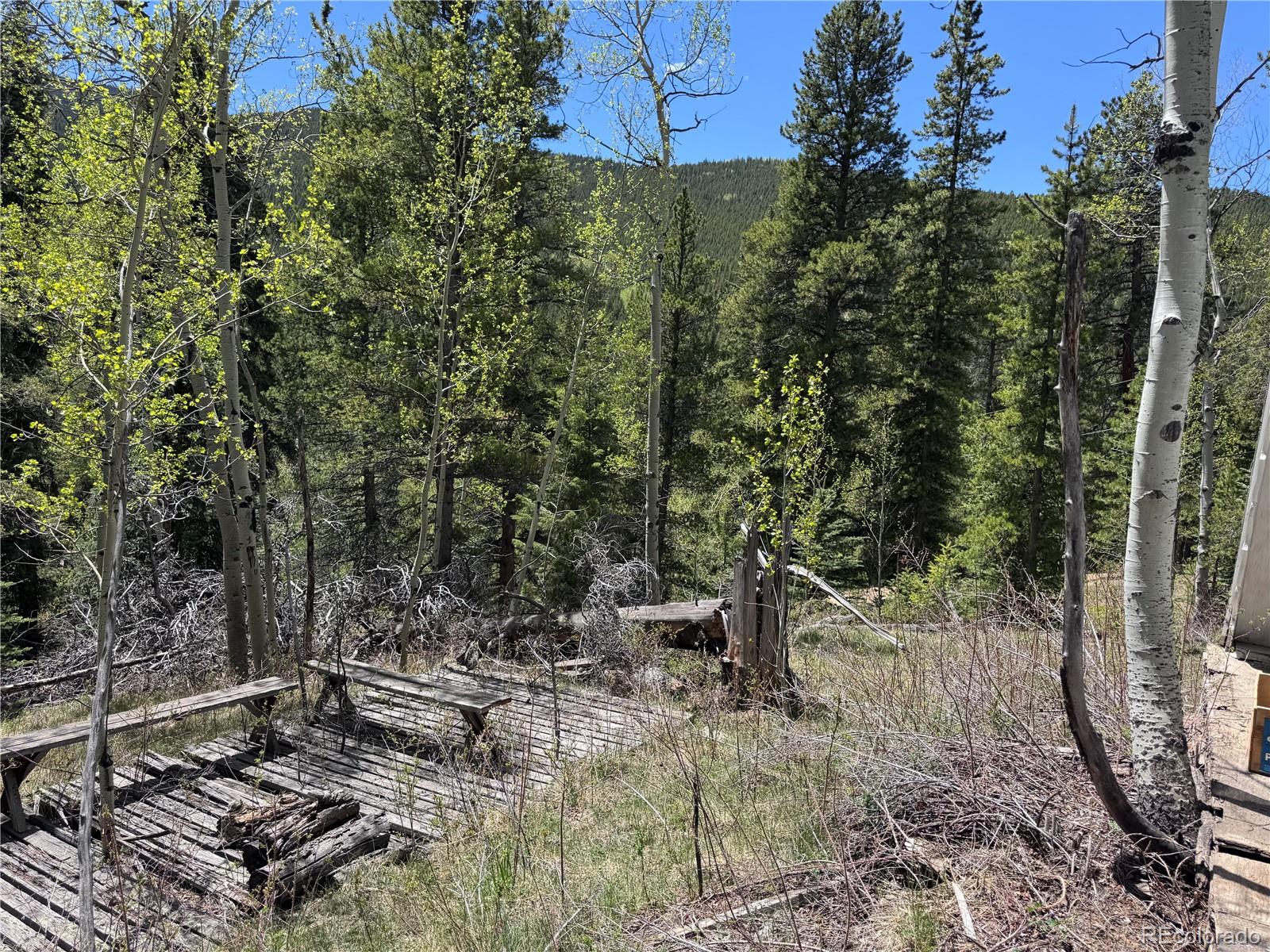 190 Blue Bell Lane Idaho Springs CO 80452