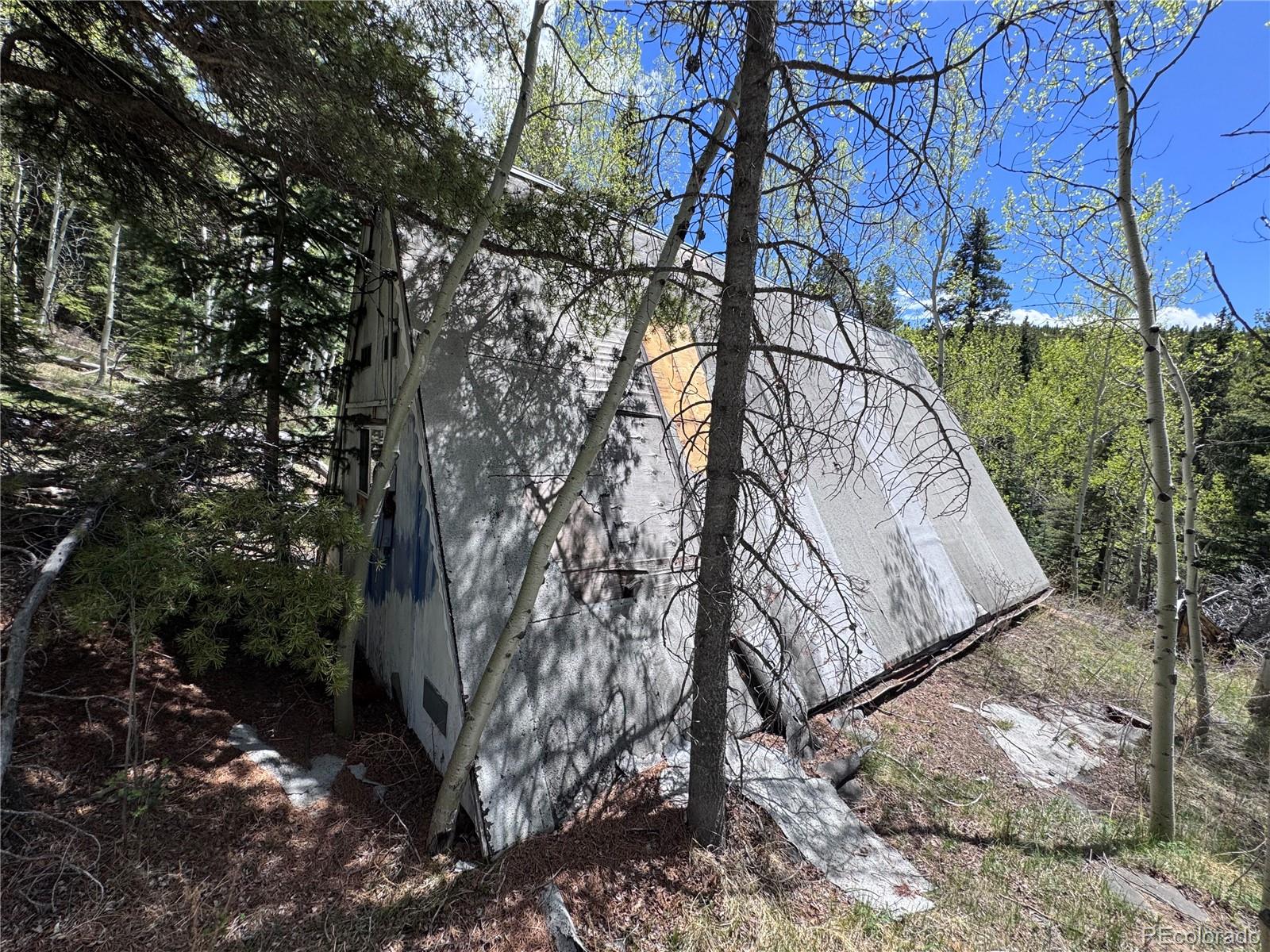 190 Blue Bell Lane Idaho Springs CO 80452