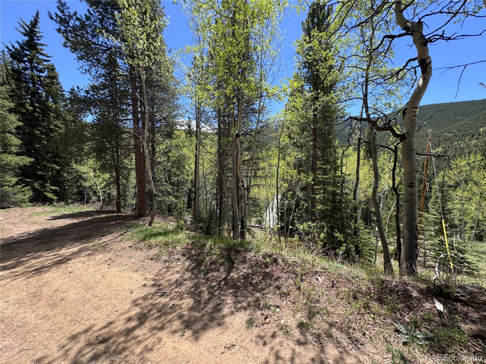 190 Blue Bell Lane Idaho Springs CO 80452