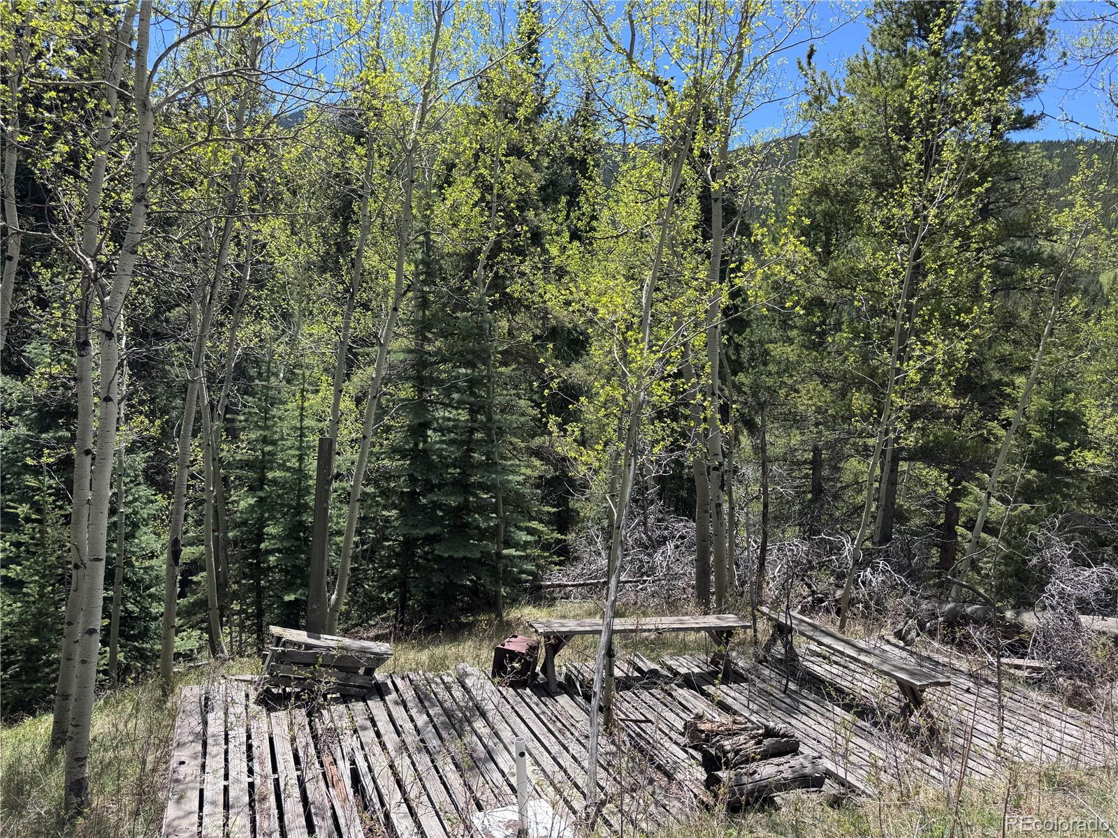 190 Blue Bell Lane Idaho Springs CO 80452