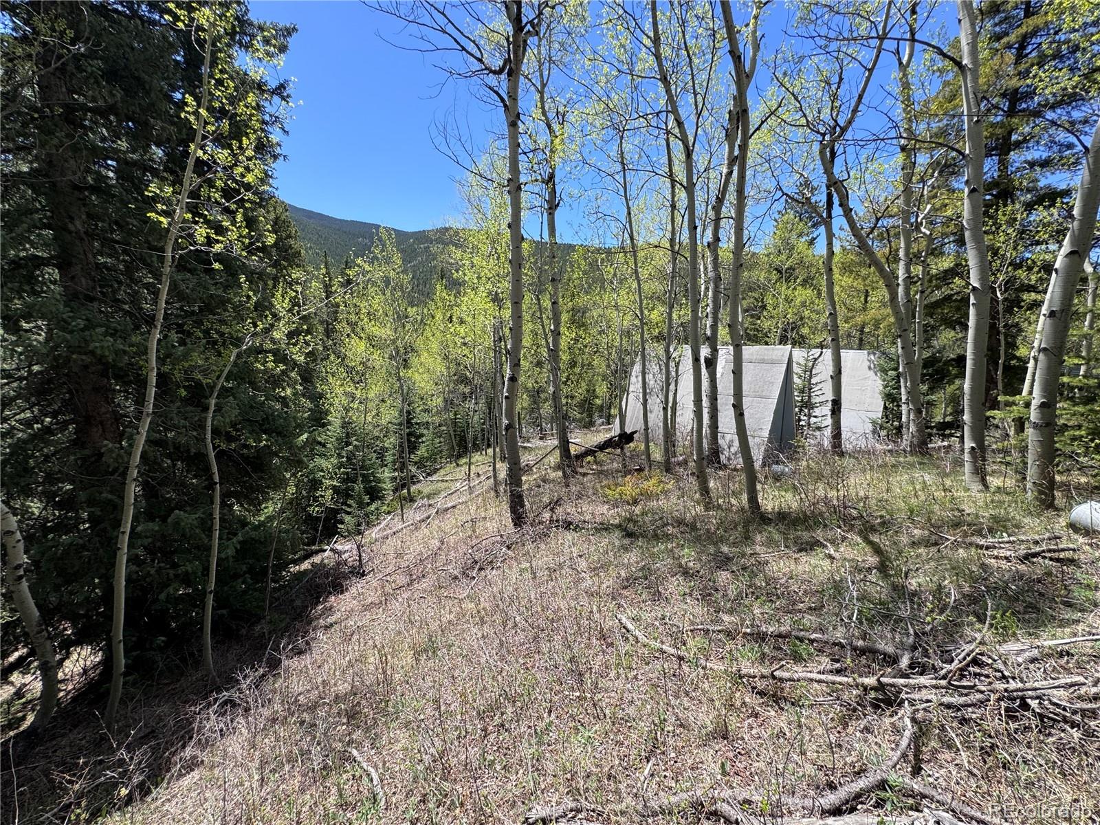 190 Blue Bell Lane Idaho Springs CO 80452