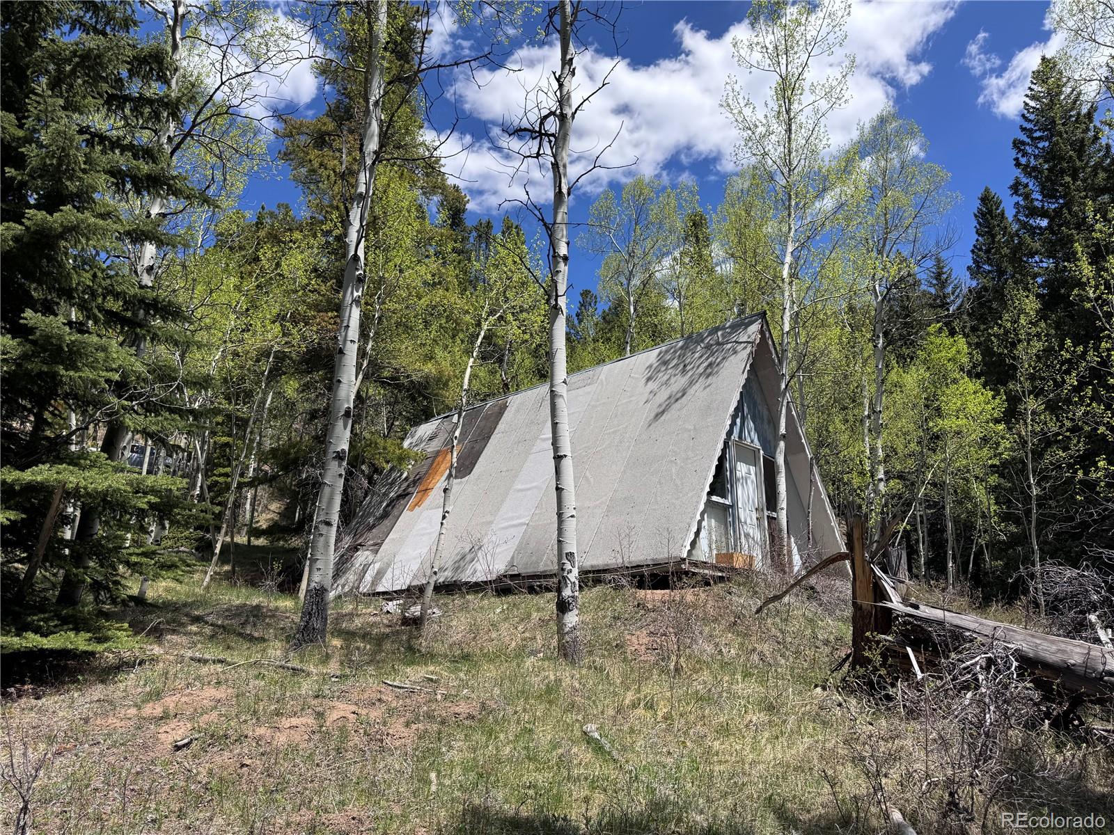 190 Blue Bell Lane Idaho Springs CO 80452