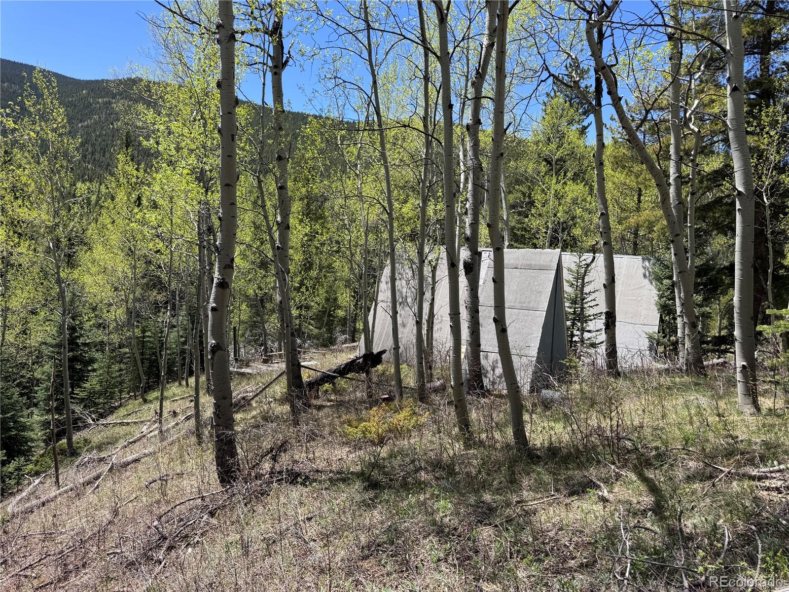 190 Blue Bell Lane Idaho Springs CO 80452