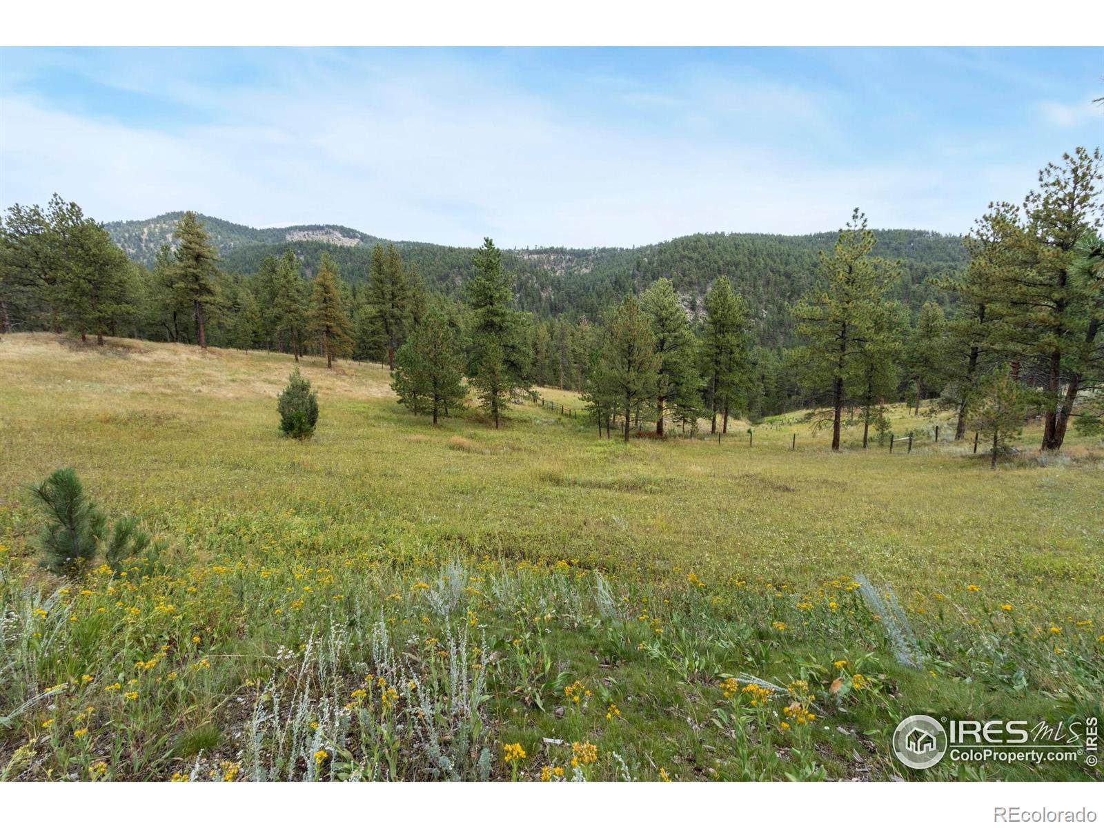 16235 W County Road 18 E Loveland CO 80537