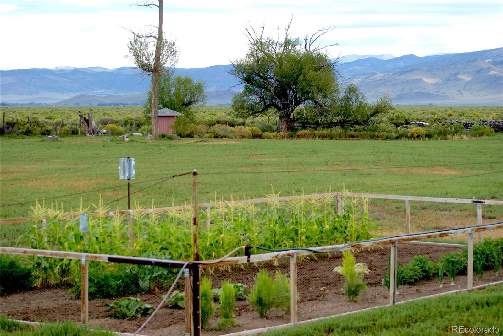 51655 County Road U Saguache CO 81149