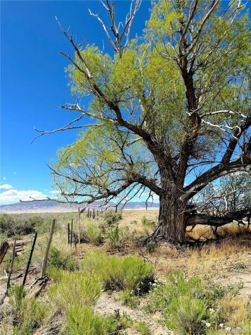 51655 County Road U Saguache CO 81149