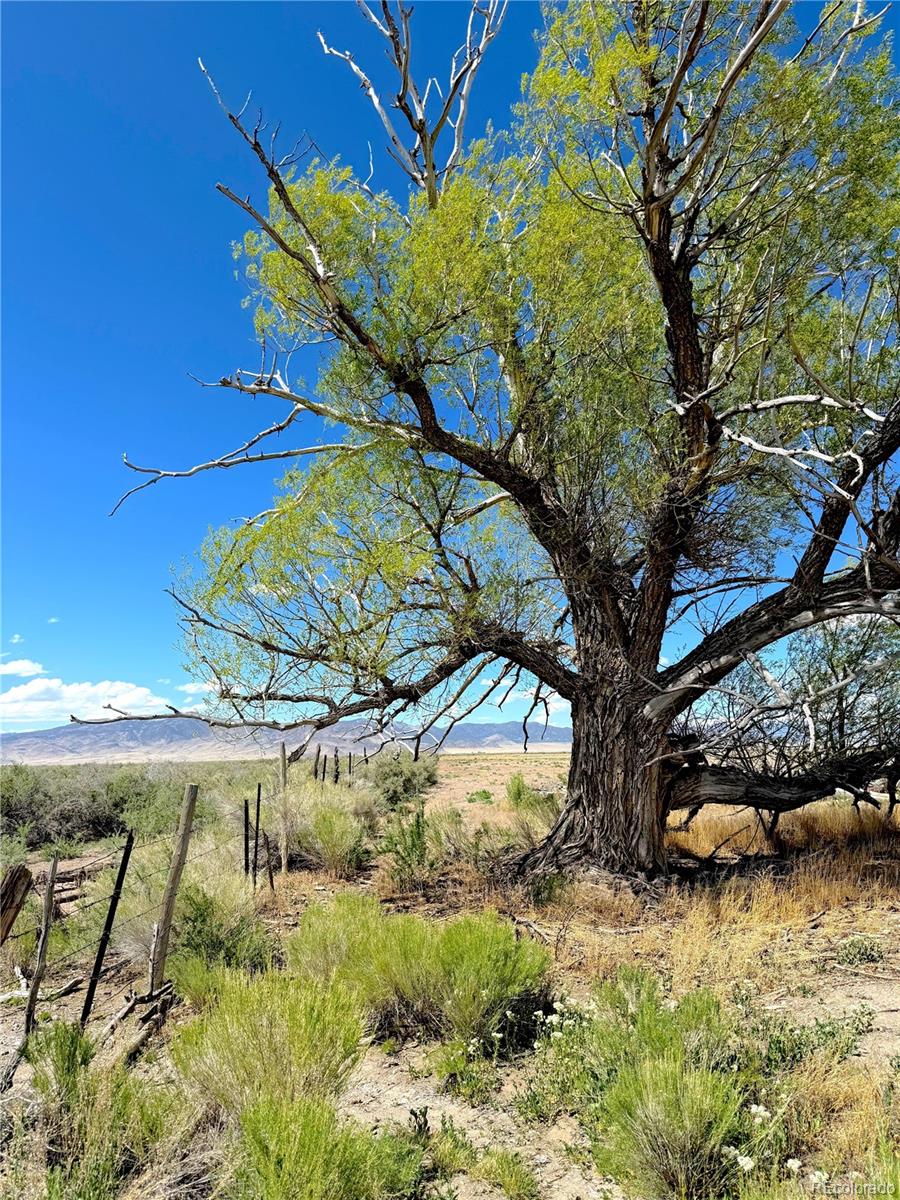 51655 County Road U Saguache CO 81149