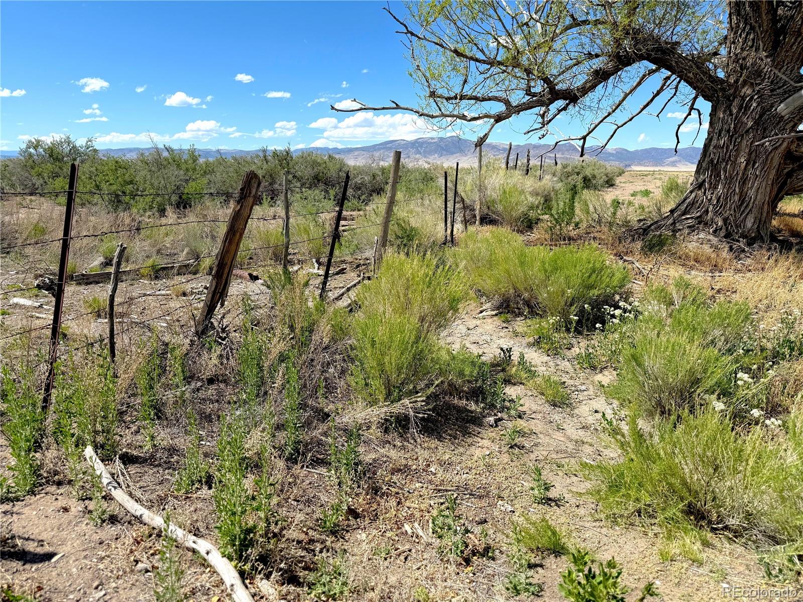 51655 County Road U Saguache CO 81149