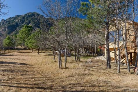 155 Balmoral Way Colorado Springs CO 80906