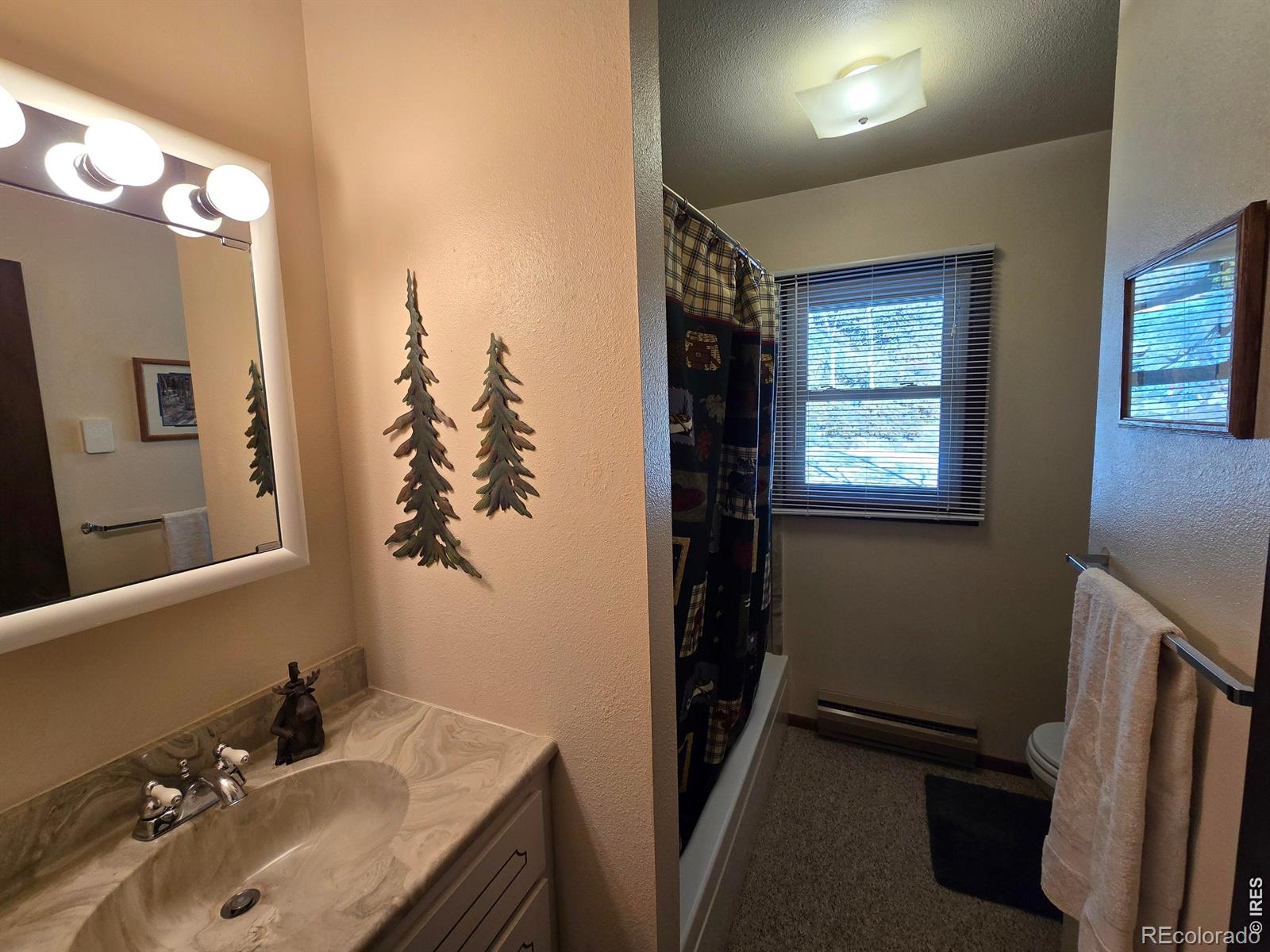 660 Jicarilla Trail Red Feather Lakes CO 80545