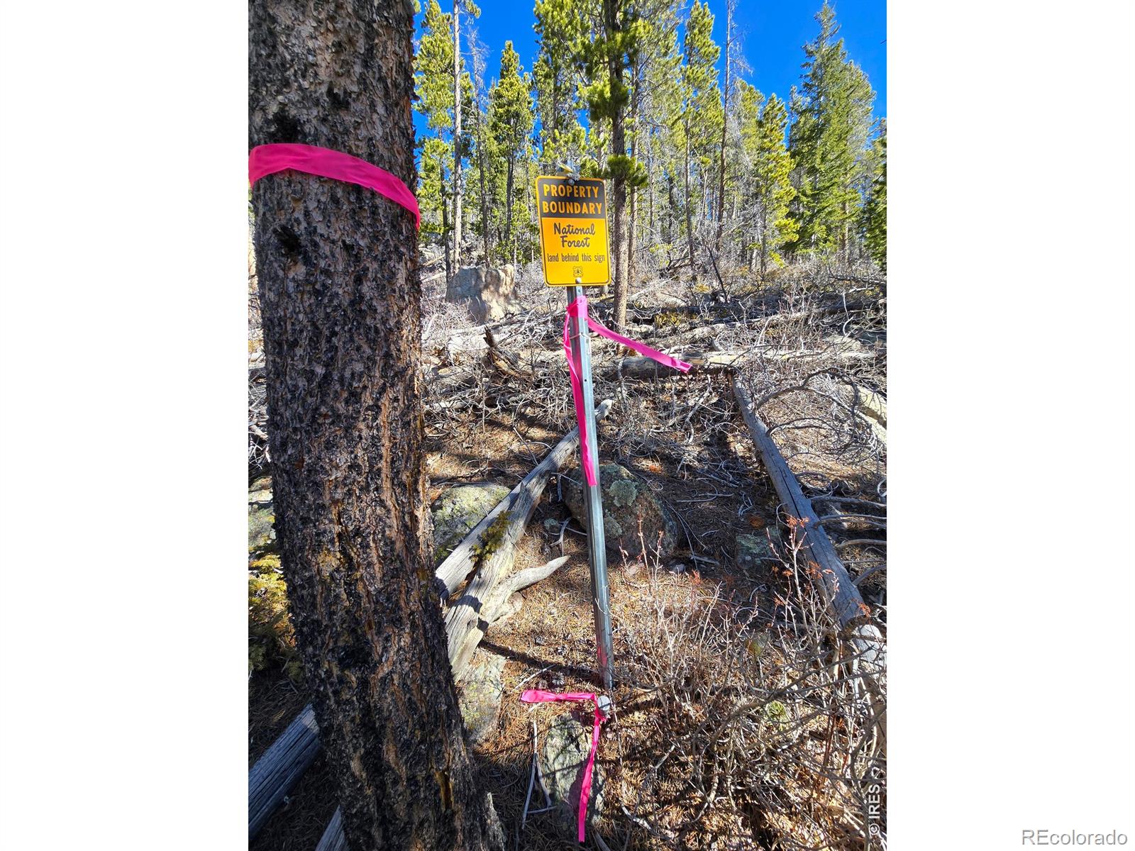 660 Jicarilla Trail Red Feather Lakes CO 80545