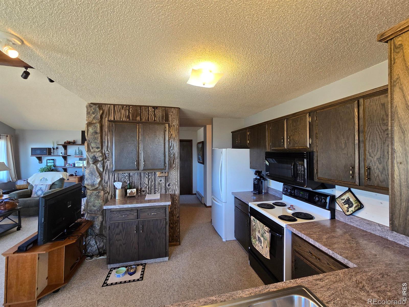 660 Jicarilla Trail Red Feather Lakes CO 80545