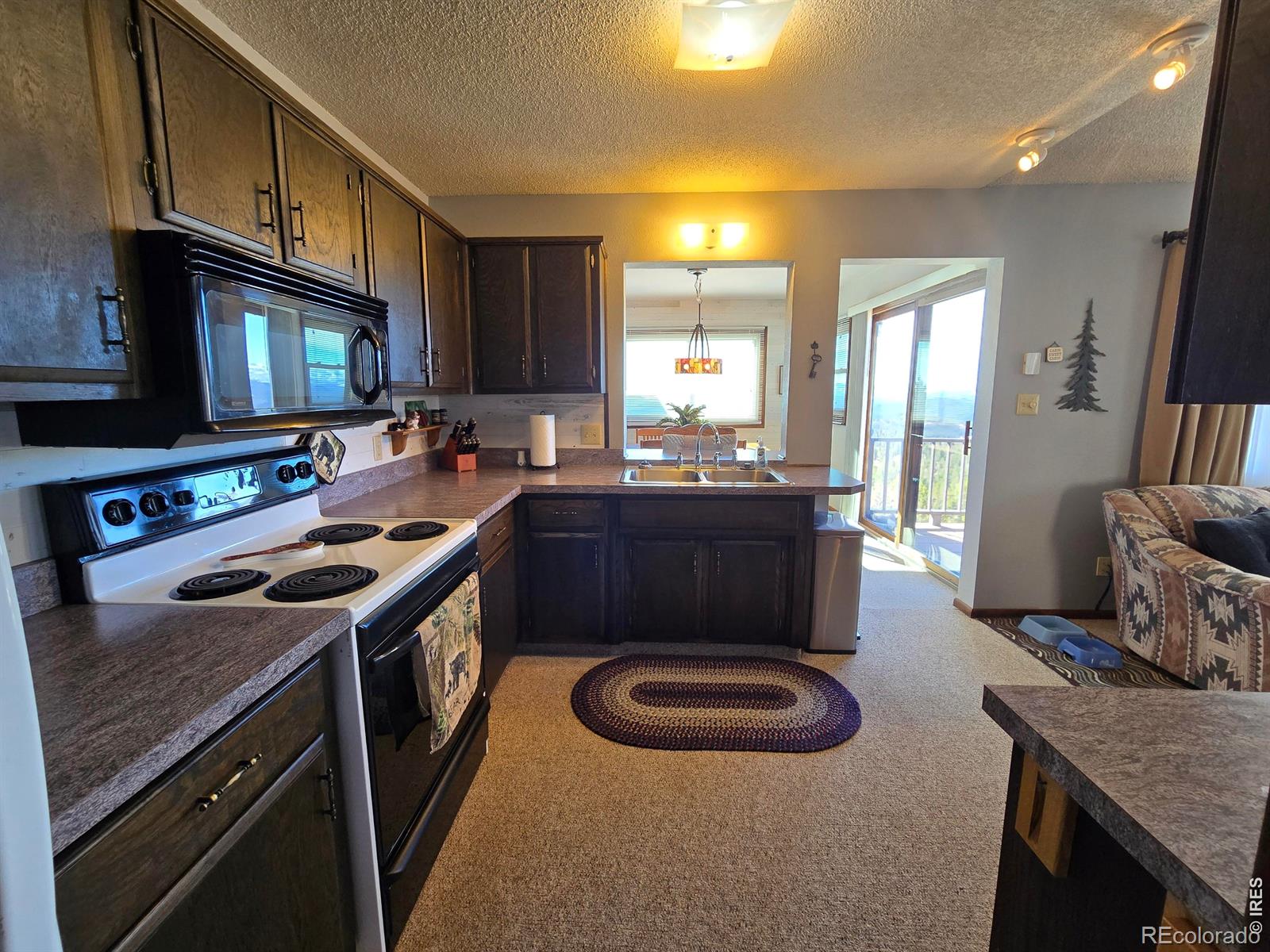 660 Jicarilla Trail Red Feather Lakes CO 80545