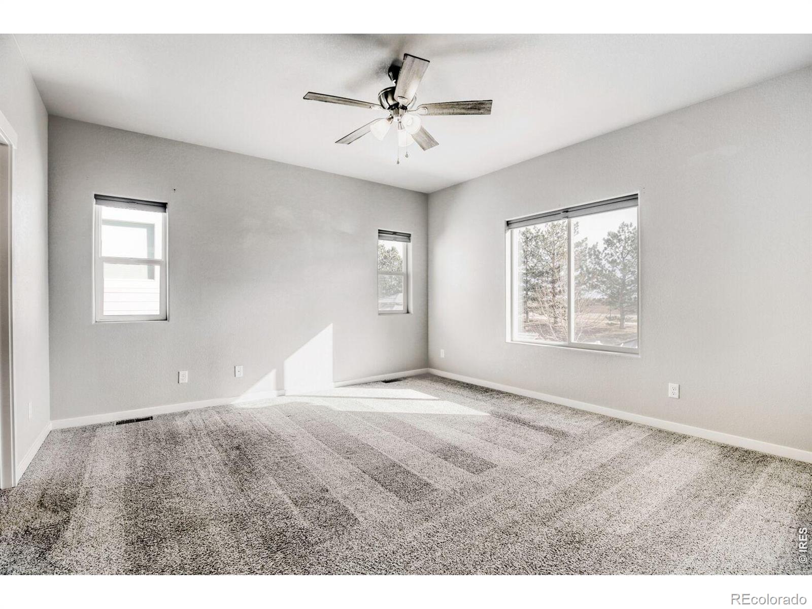 5009 Hawtrey Drive Windsor CO 80550