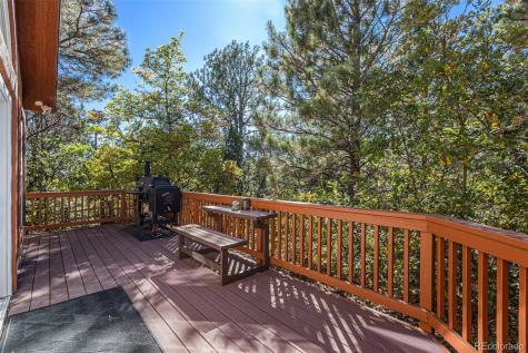 15631 Cala Rojo Drive Colorado Springs CO 80926