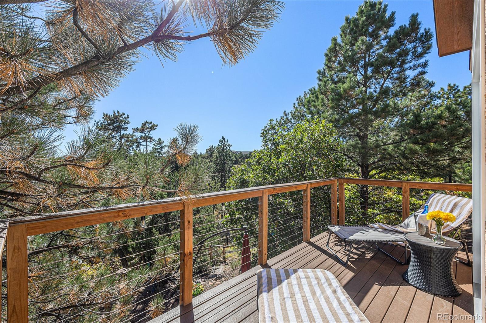 15631 Cala Rojo Drive Colorado Springs CO 80926