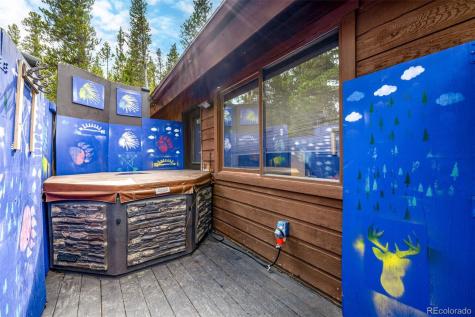 318 Upper Forest Road Idaho Springs CO 80452