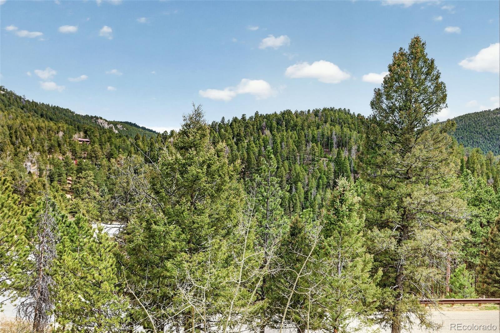 12098 Broken Arrow Drive Conifer CO 80433