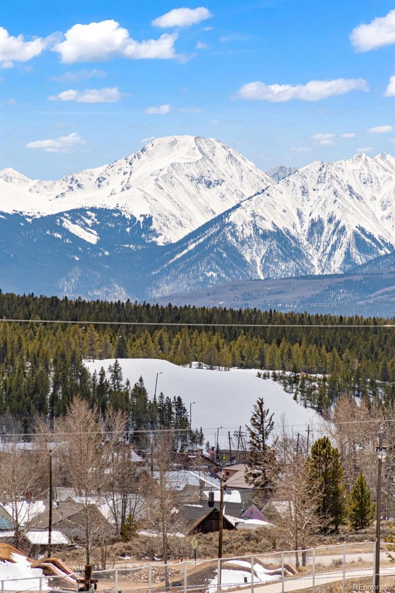 428 W 6th Street Leadville CO 80461