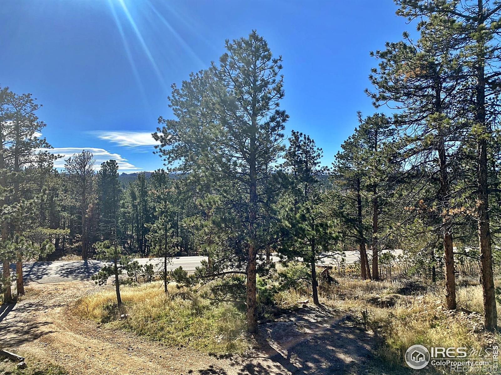 24192 W County Road 74e Red Feather Lakes CO 80545