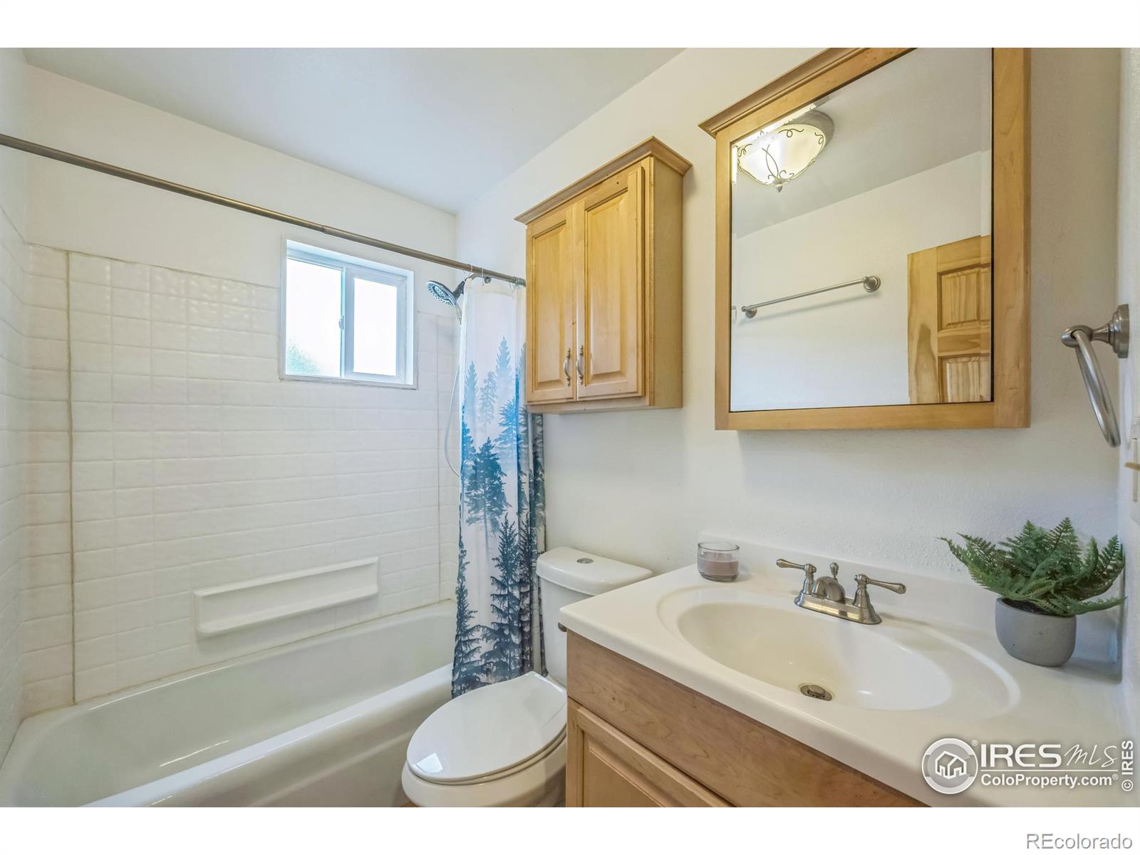 24192 W County Road 74e Red Feather Lakes CO 80545