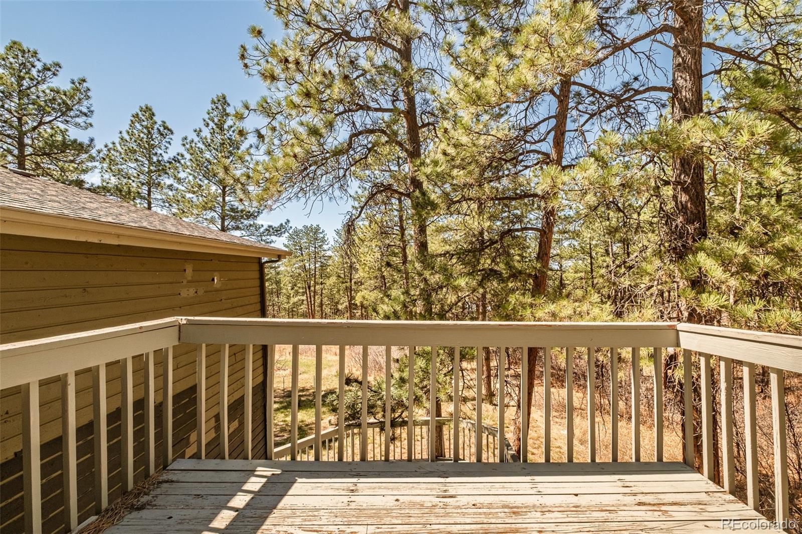591 Nob Hill Trail Franktown CO 80116