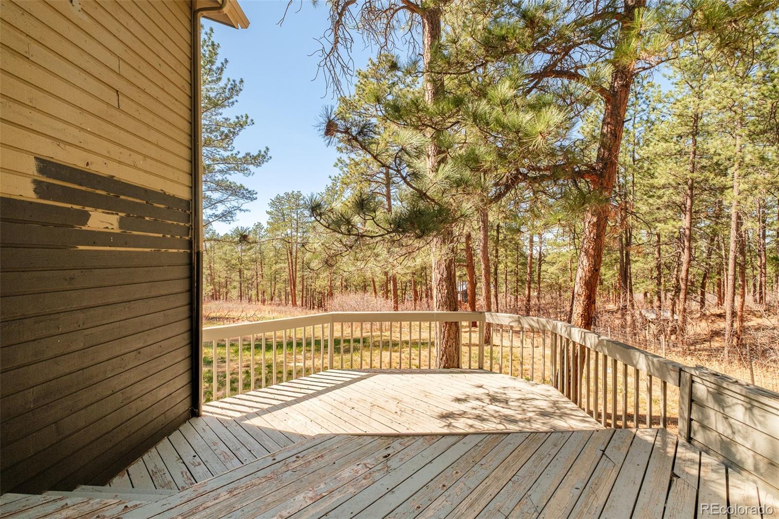 591 Nob Hill Trail Franktown CO 80116