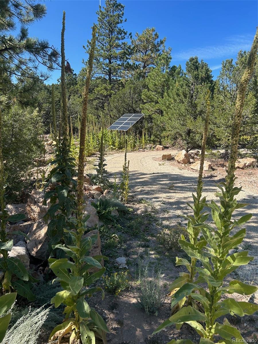 1380&1410 Oak Drive Westcliffe CO 81252