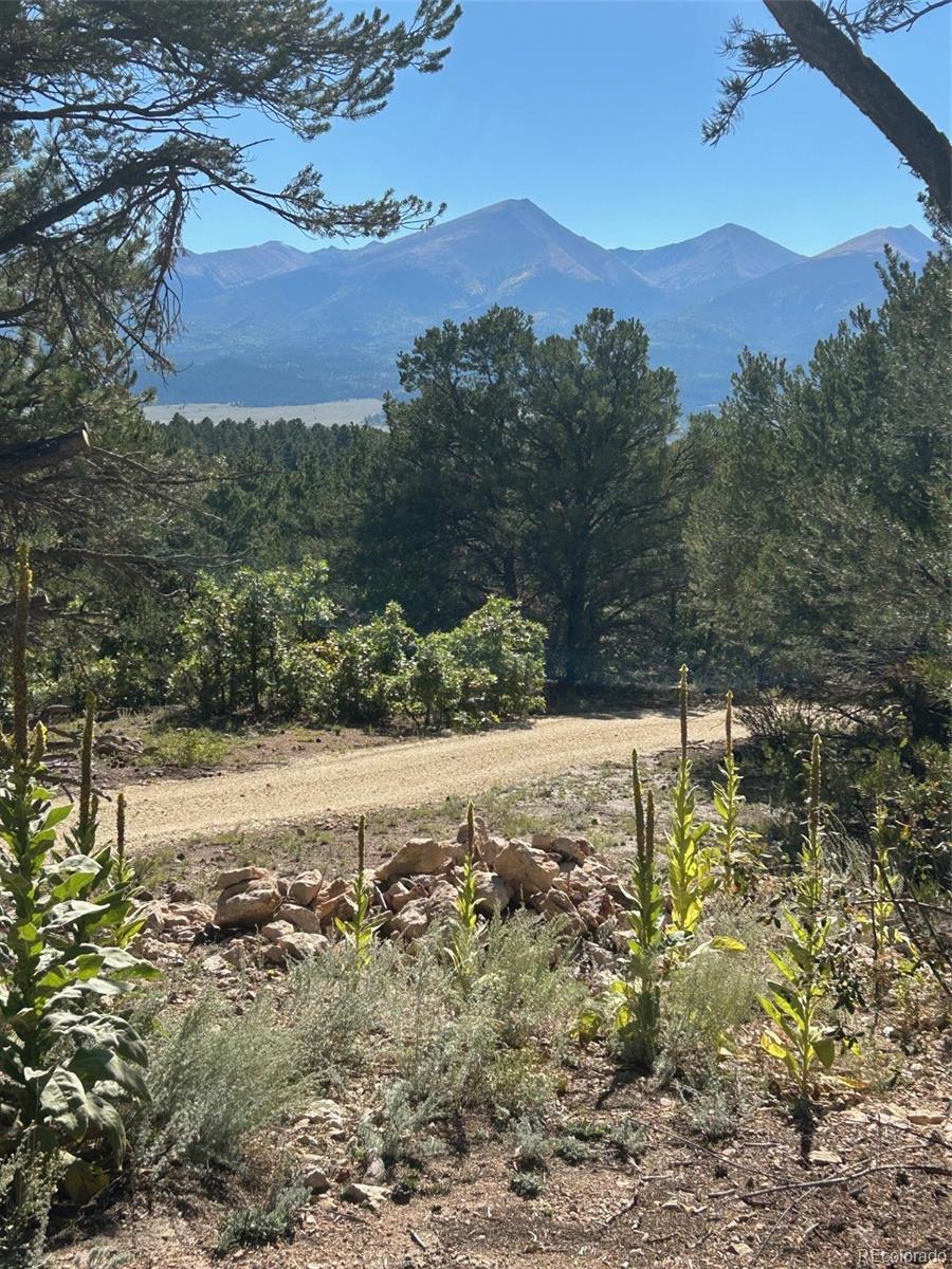 1380&1410 Oak Drive Westcliffe CO 81252