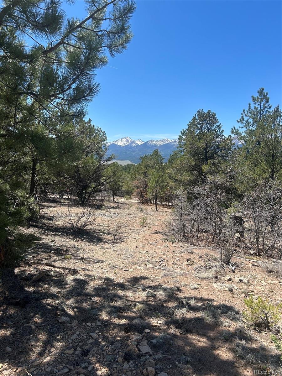 1380&1410 Oak Drive Westcliffe CO 81252