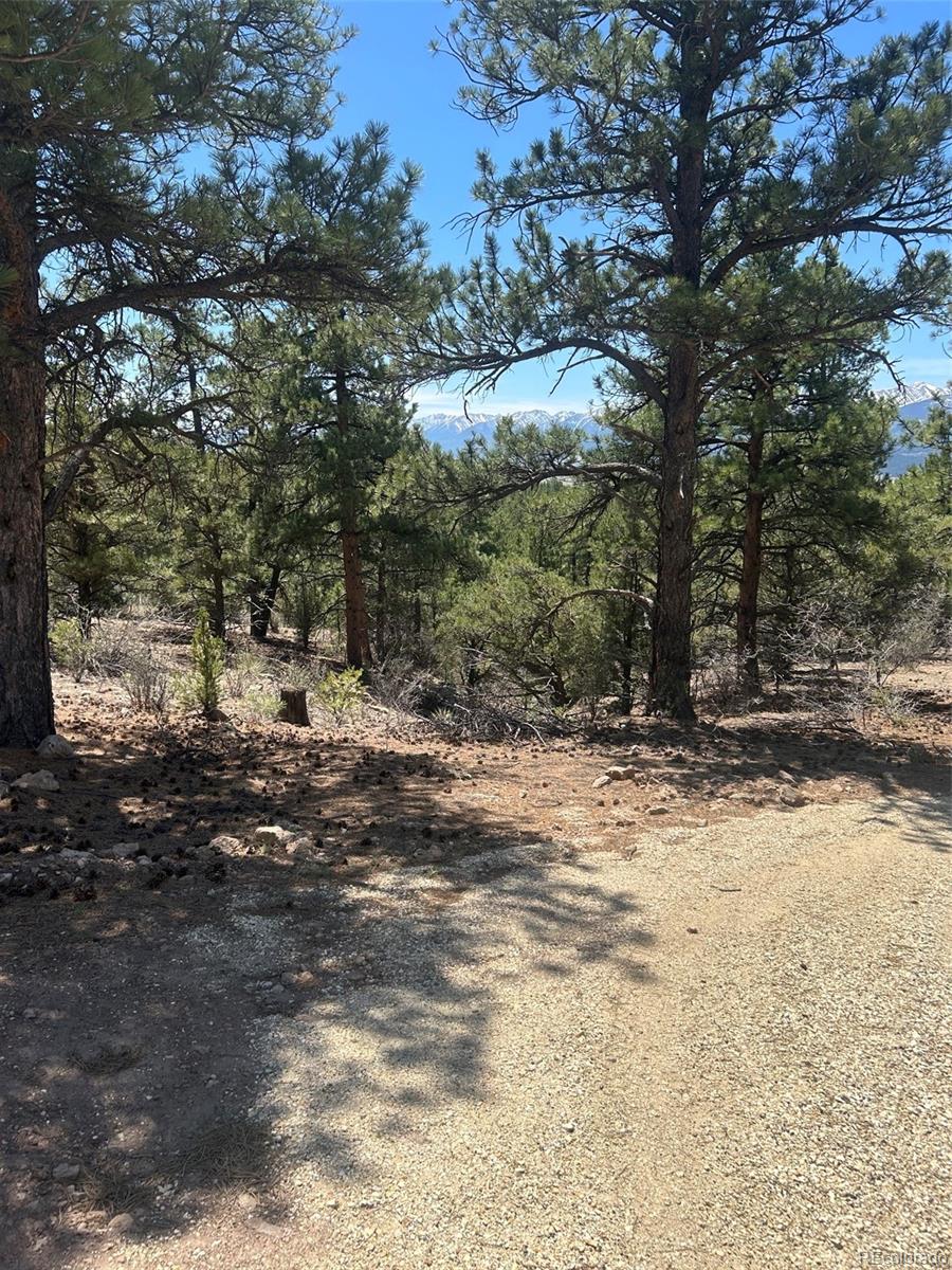 1380&1410 Oak Drive Westcliffe CO 81252