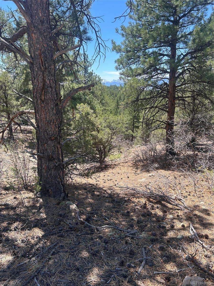 1380&1410 Oak Drive Westcliffe CO 81252