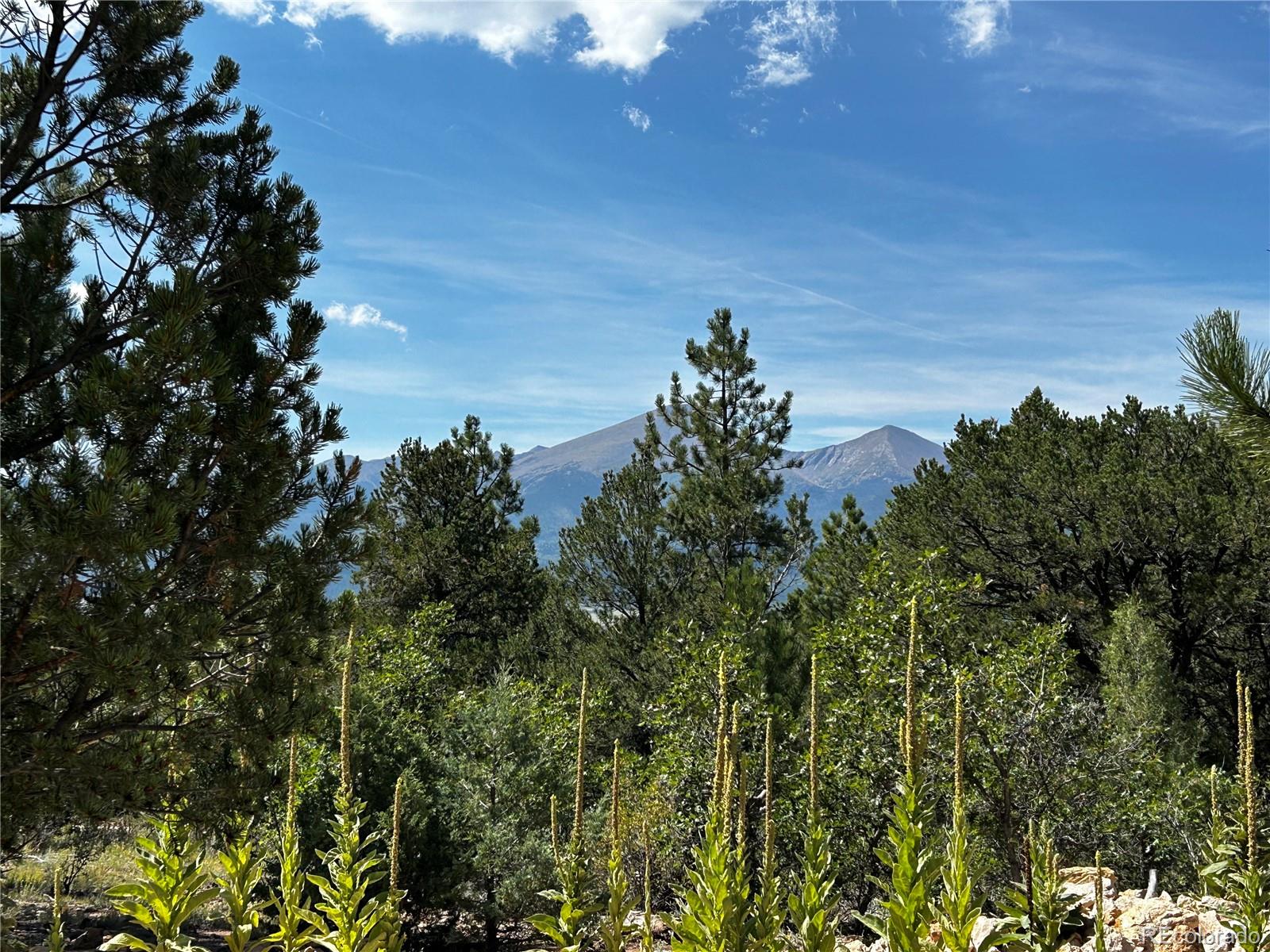 1380&1410 Oak Drive Westcliffe CO 81252