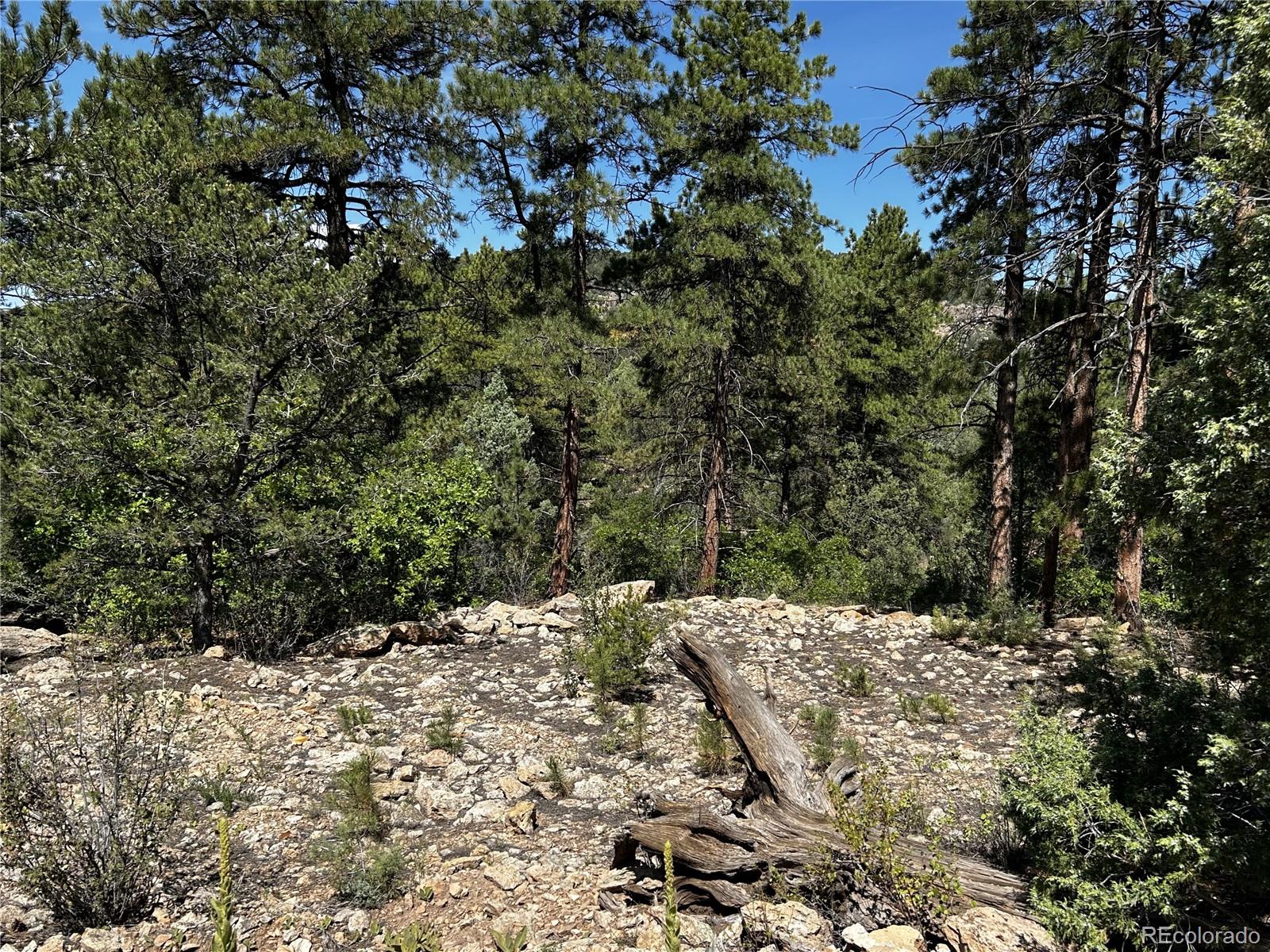 1380&1410 Oak Drive Westcliffe CO 81252