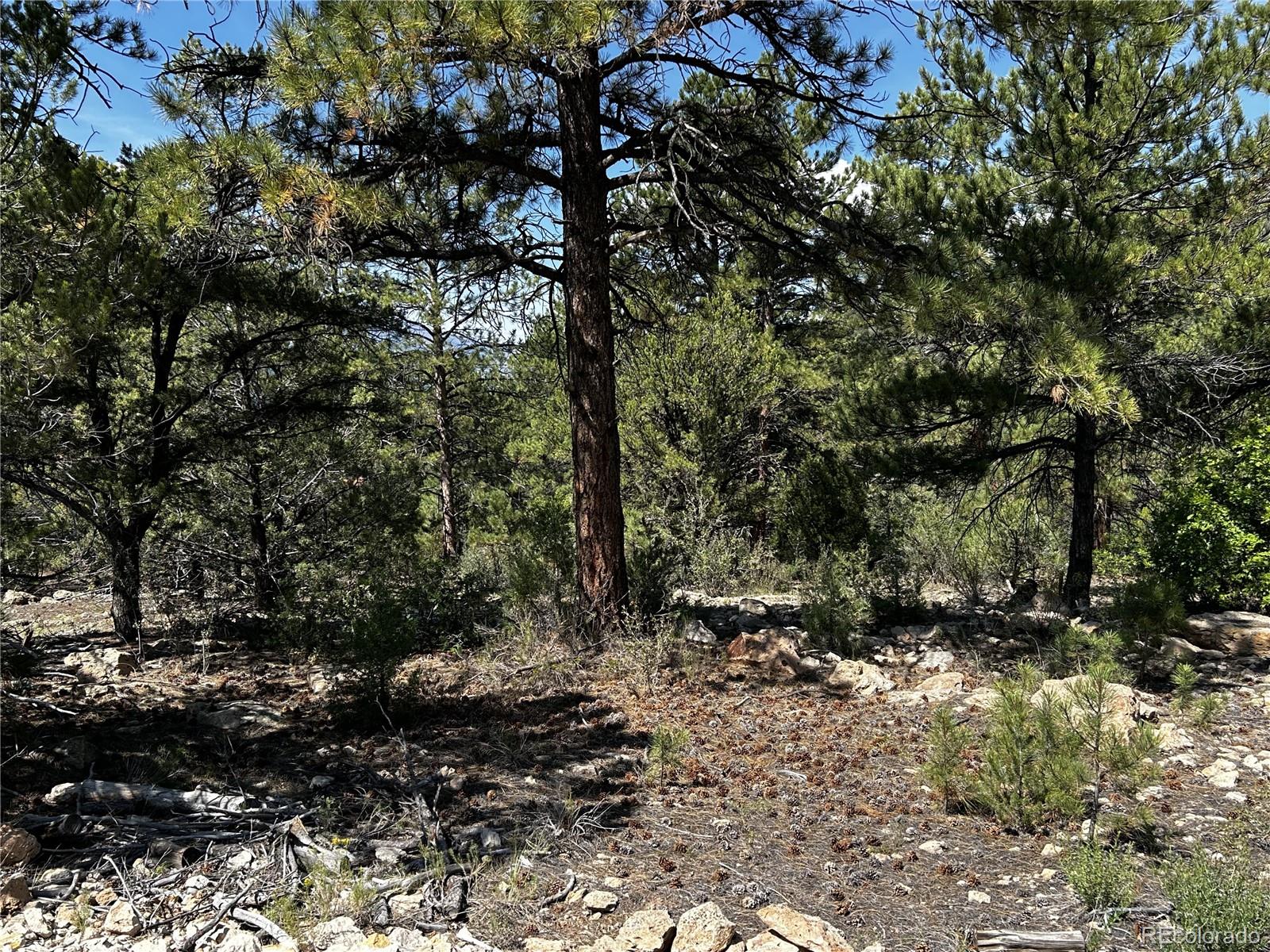 1380&1410 Oak Drive Westcliffe CO 81252