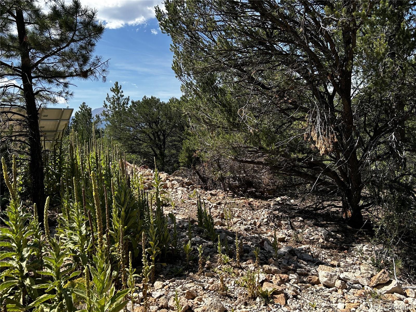 1380&1410 Oak Drive Westcliffe CO 81252