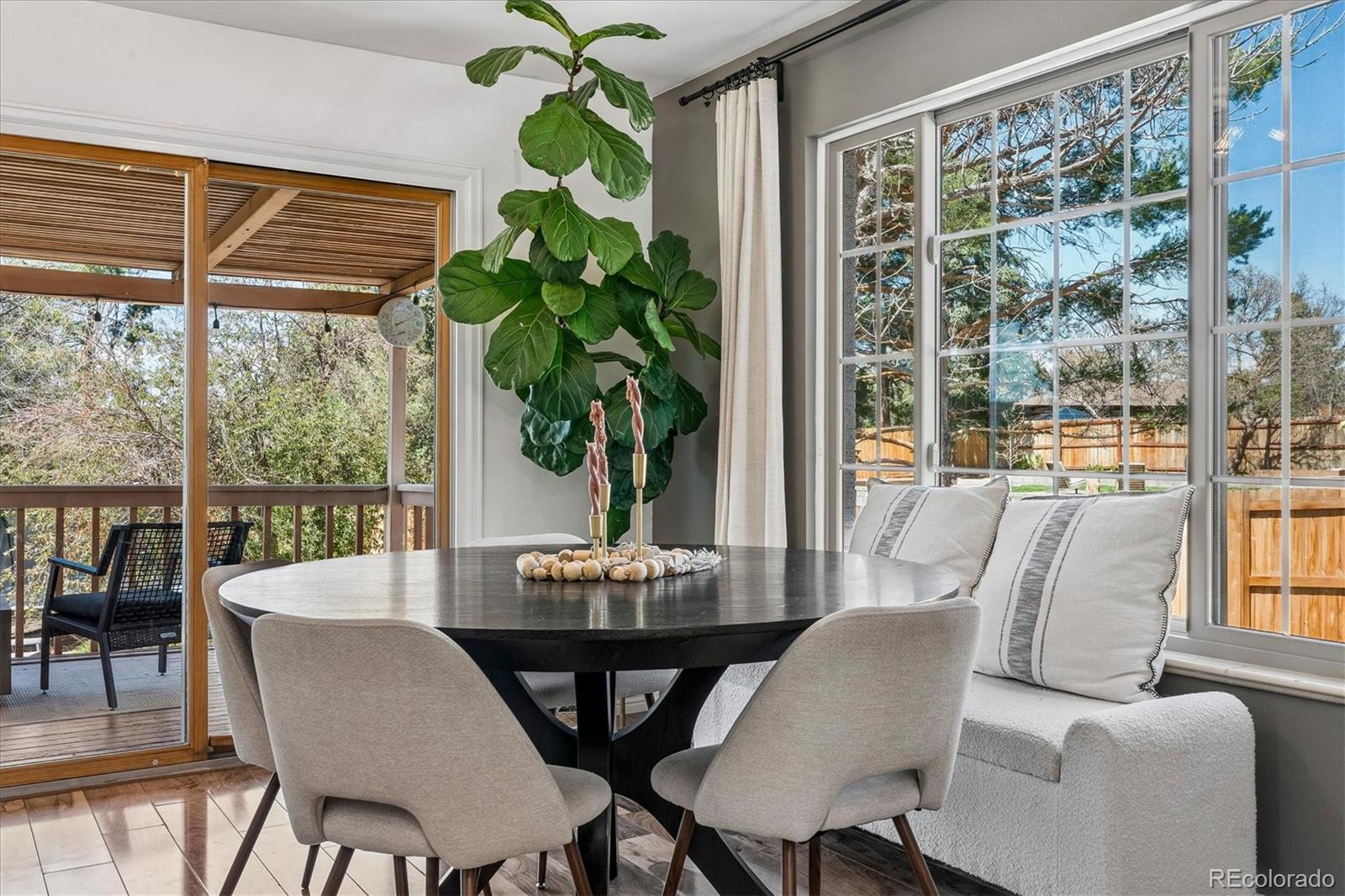 391 Burgess Drive Castle Rock CO 80104