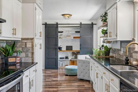 391 Burgess Drive Castle Rock CO 80104