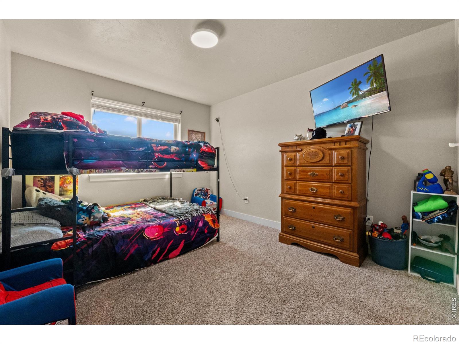 1110 Coyote Lane Wiggins CO 80654