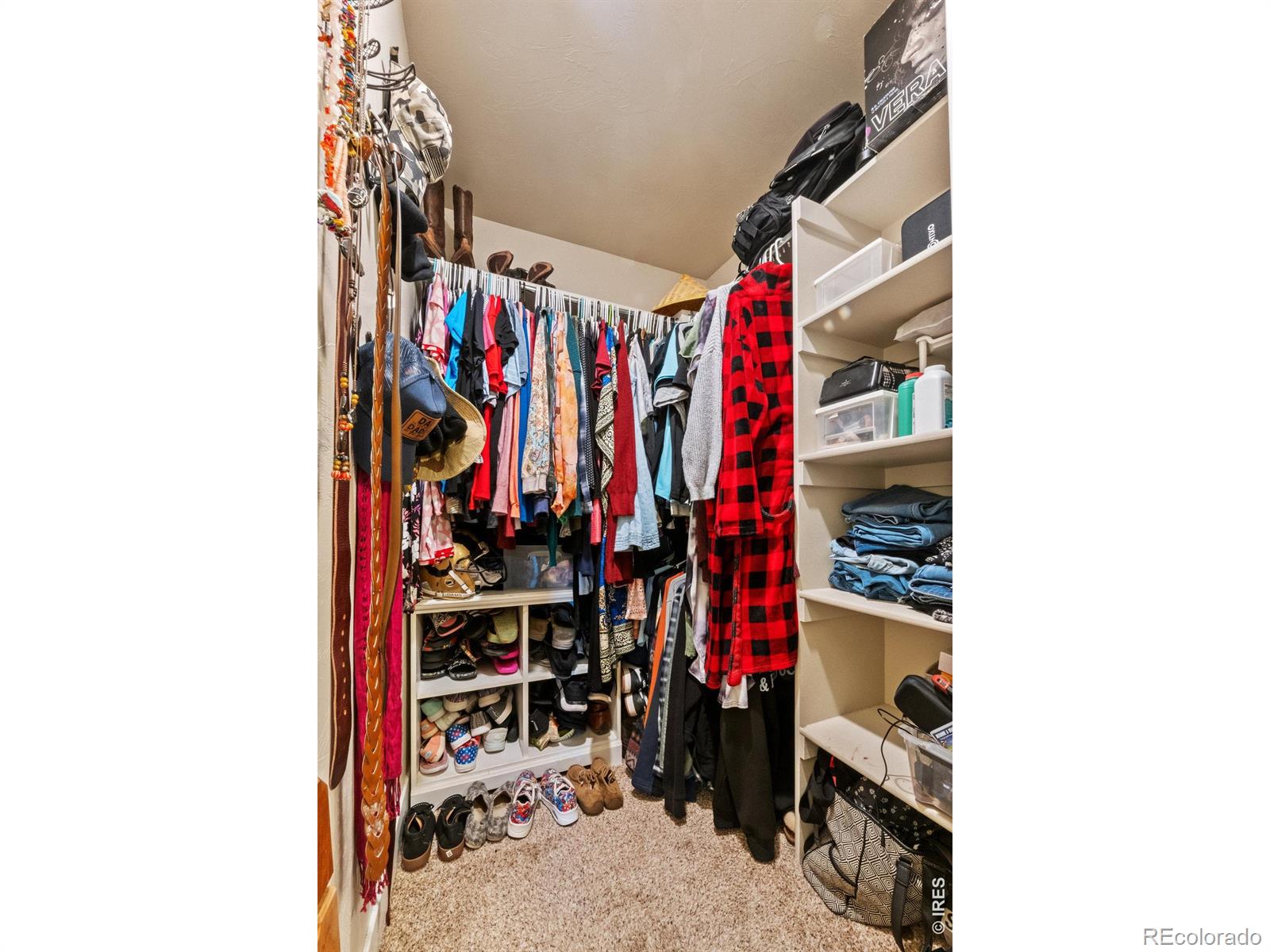 1110 Coyote Lane Wiggins CO 80654