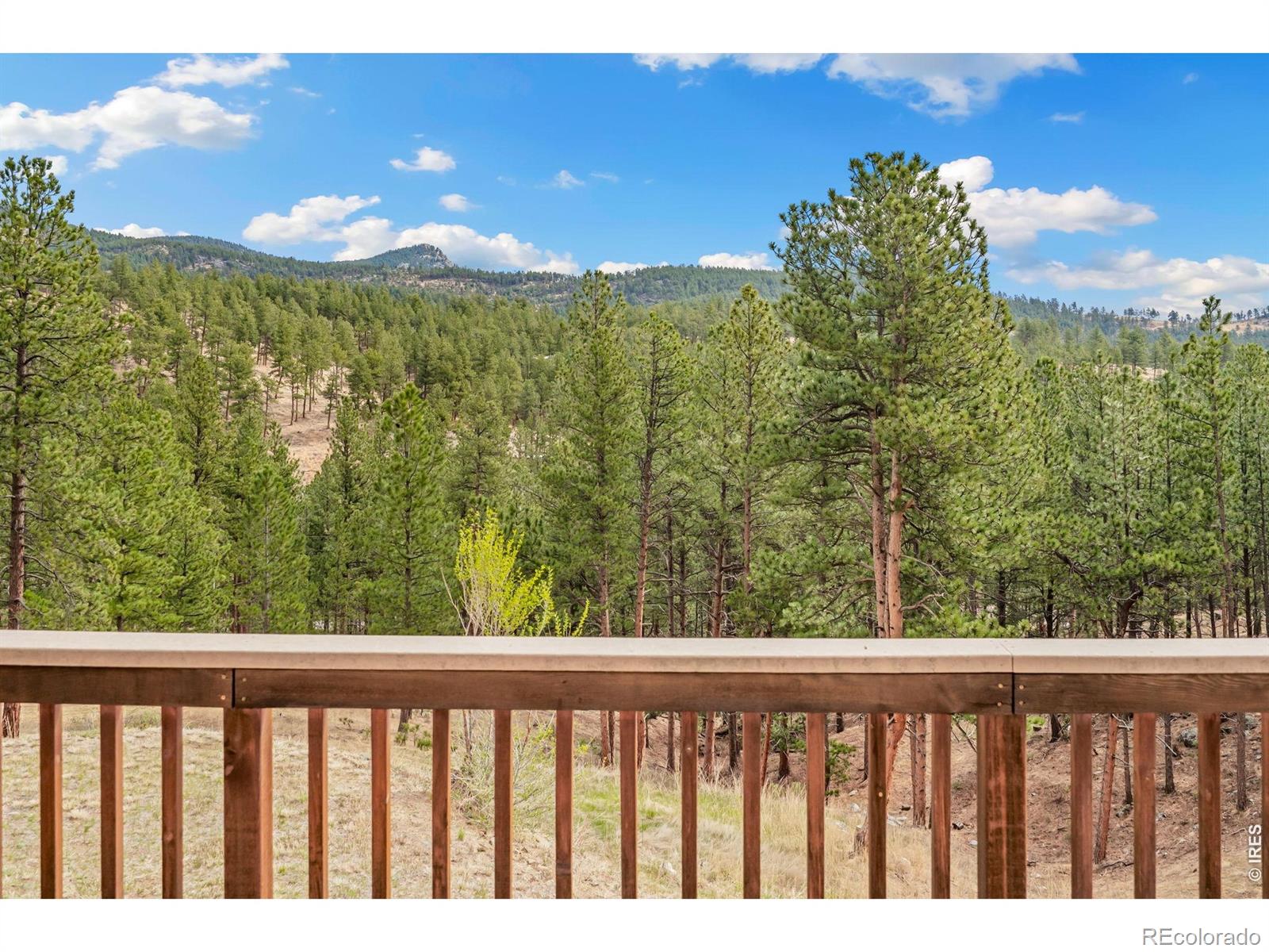 96 Lone Wolf Road Loveland CO 80537
