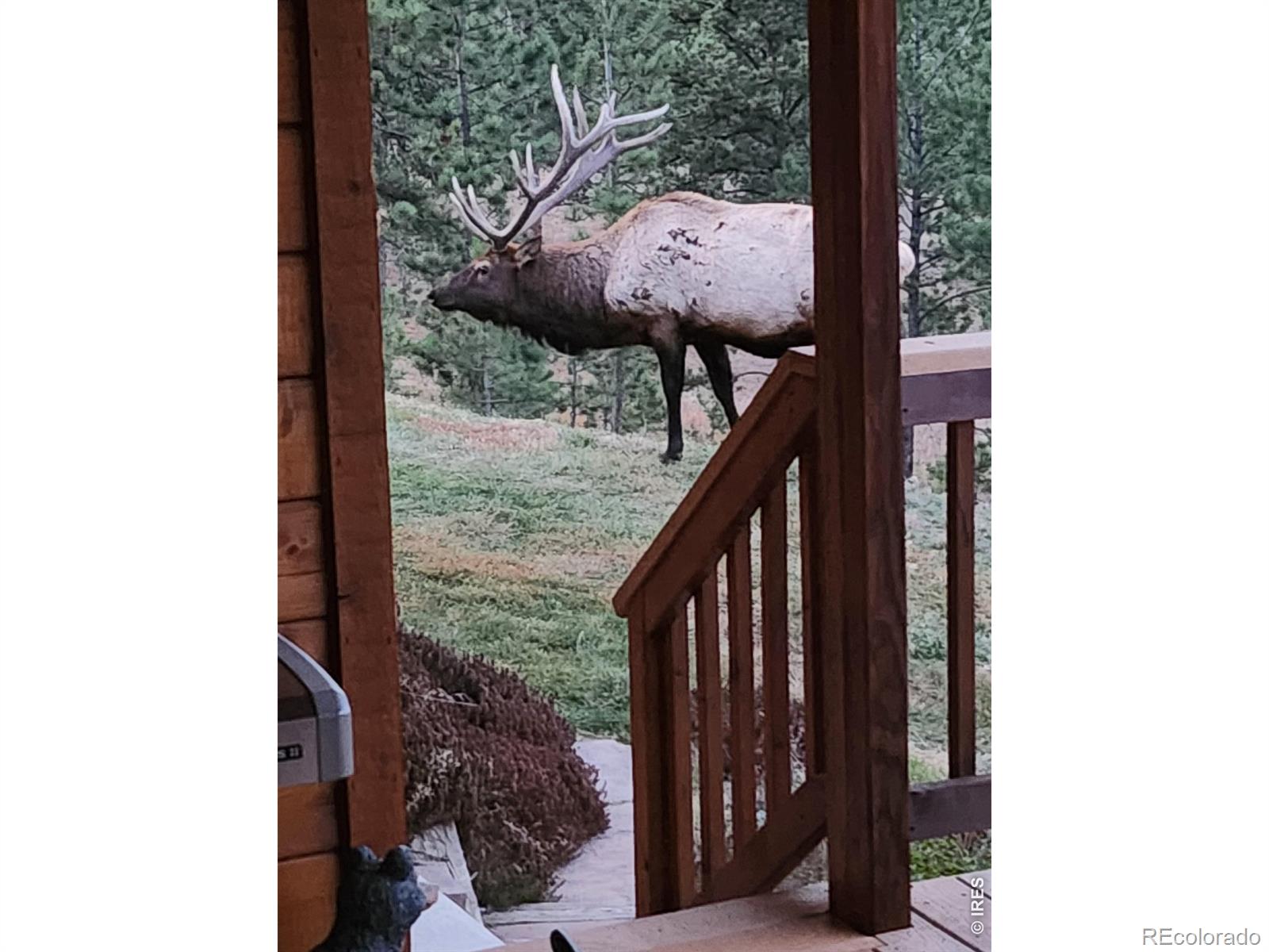 96 Lone Wolf Road Loveland CO 80537