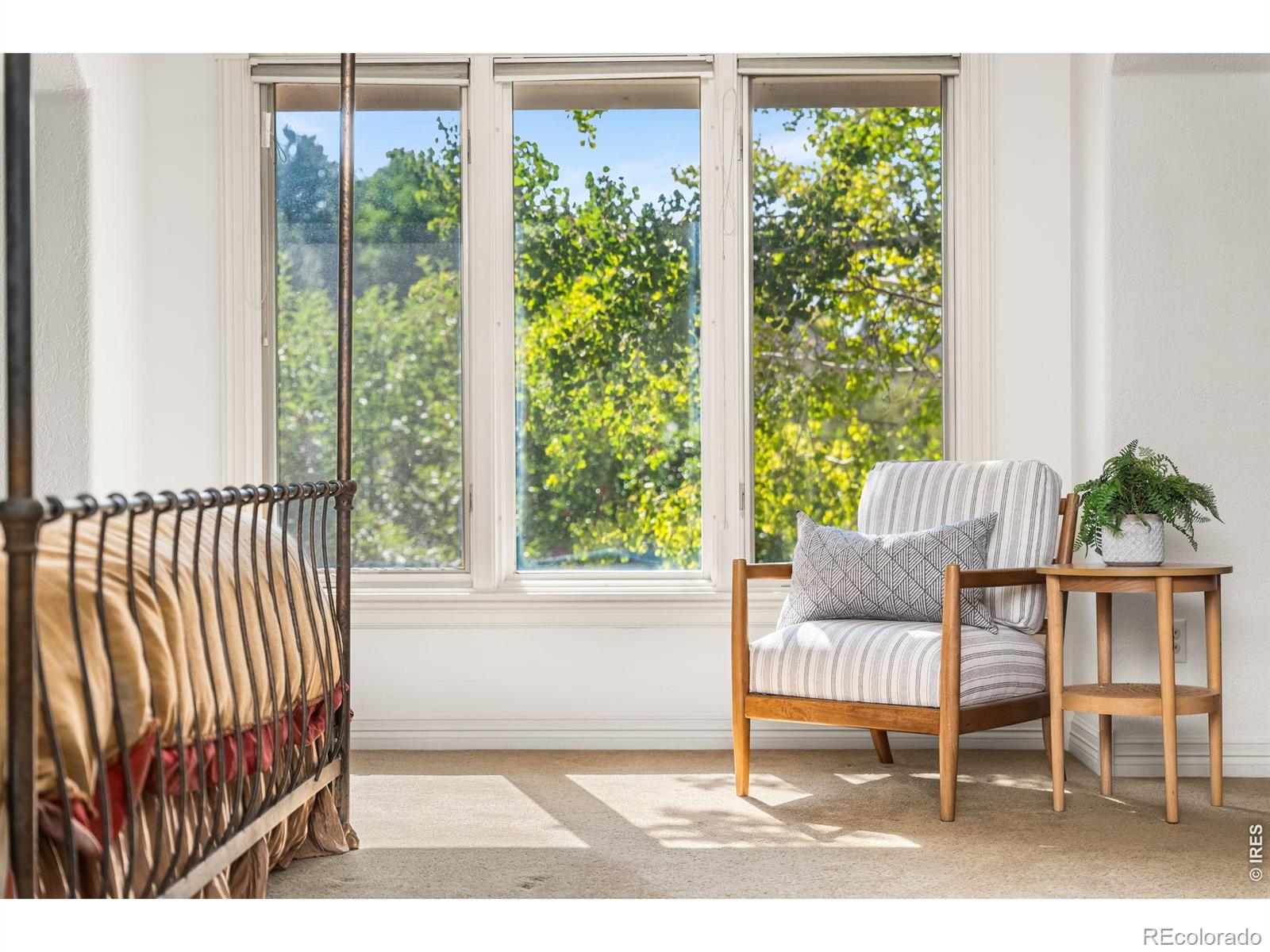 5100 Abbey Road Fort Collins CO 80526