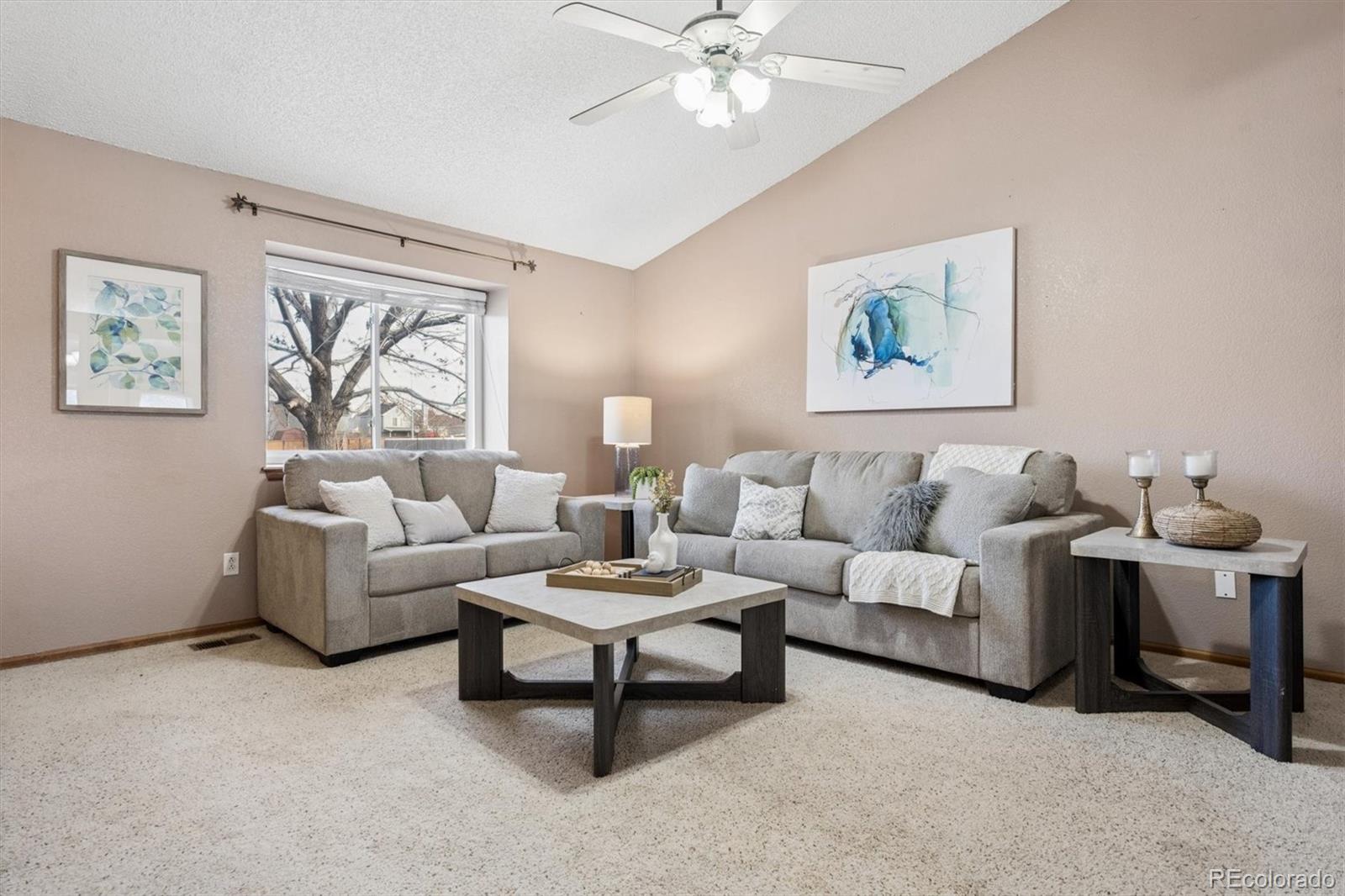 12147 Hudson Court Thornton CO 80241