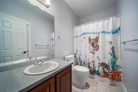 5464 Killen Avenue Castle Rock CO 80104