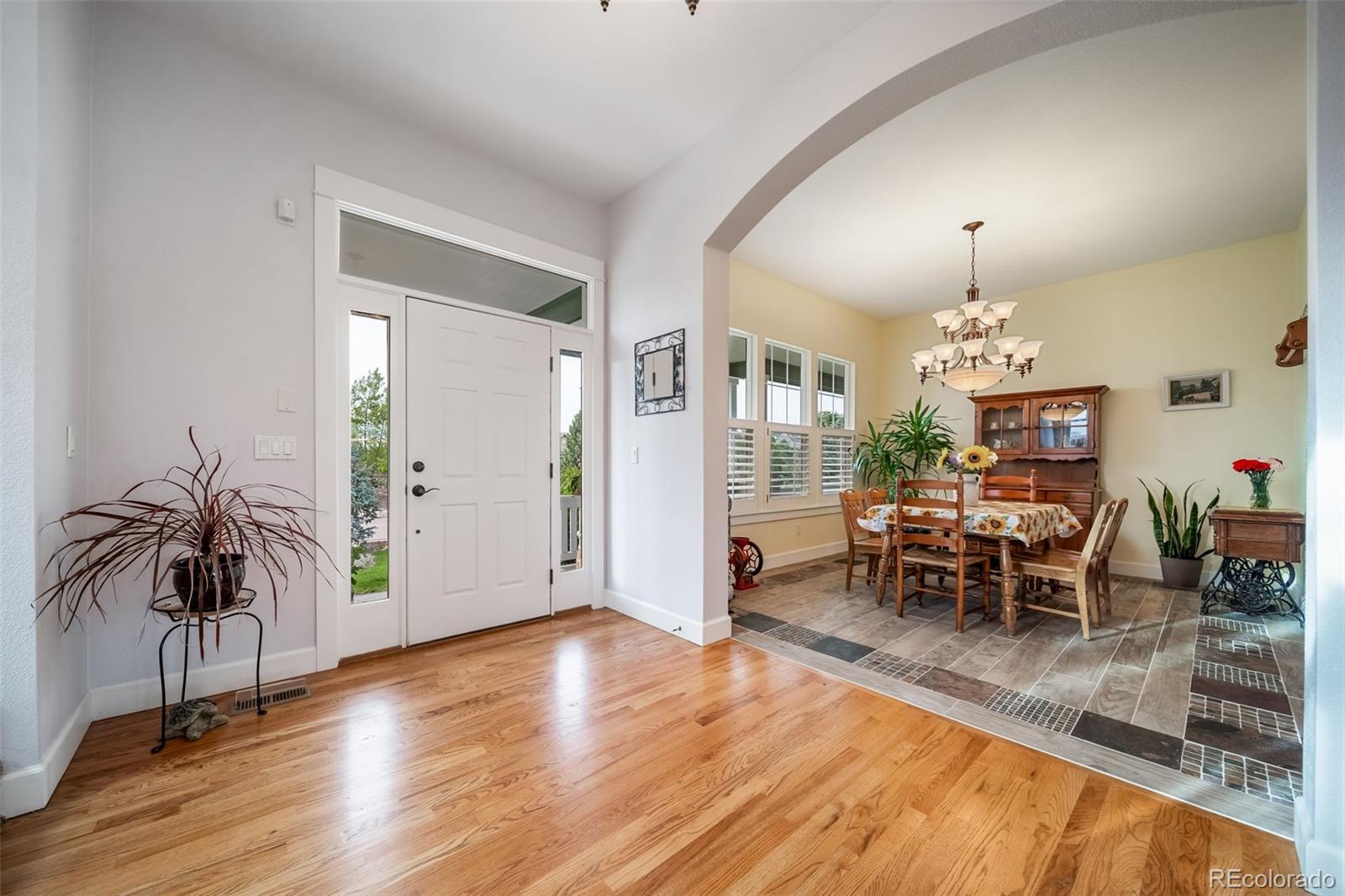 5464 Killen Avenue Castle Rock CO 80104