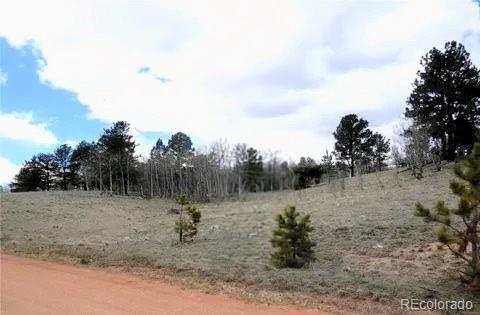47 Hidden Valley Florissant CO 80816