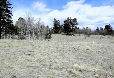47 Hidden Valley Florissant CO 80816