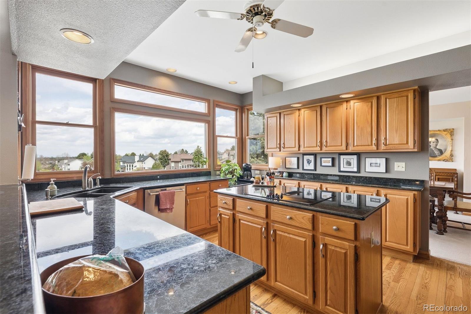 9510 Harford Court Highlands Ranch CO 80126